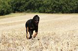 BEAUCERON 761